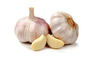 the garlic against parasites